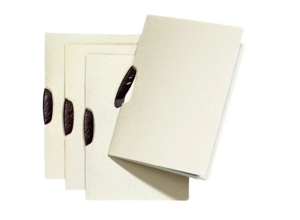 PAGNA Bewerbungsmappe "Swing", DIN A4, aus Karton, beige (EAN: 4013951007109)