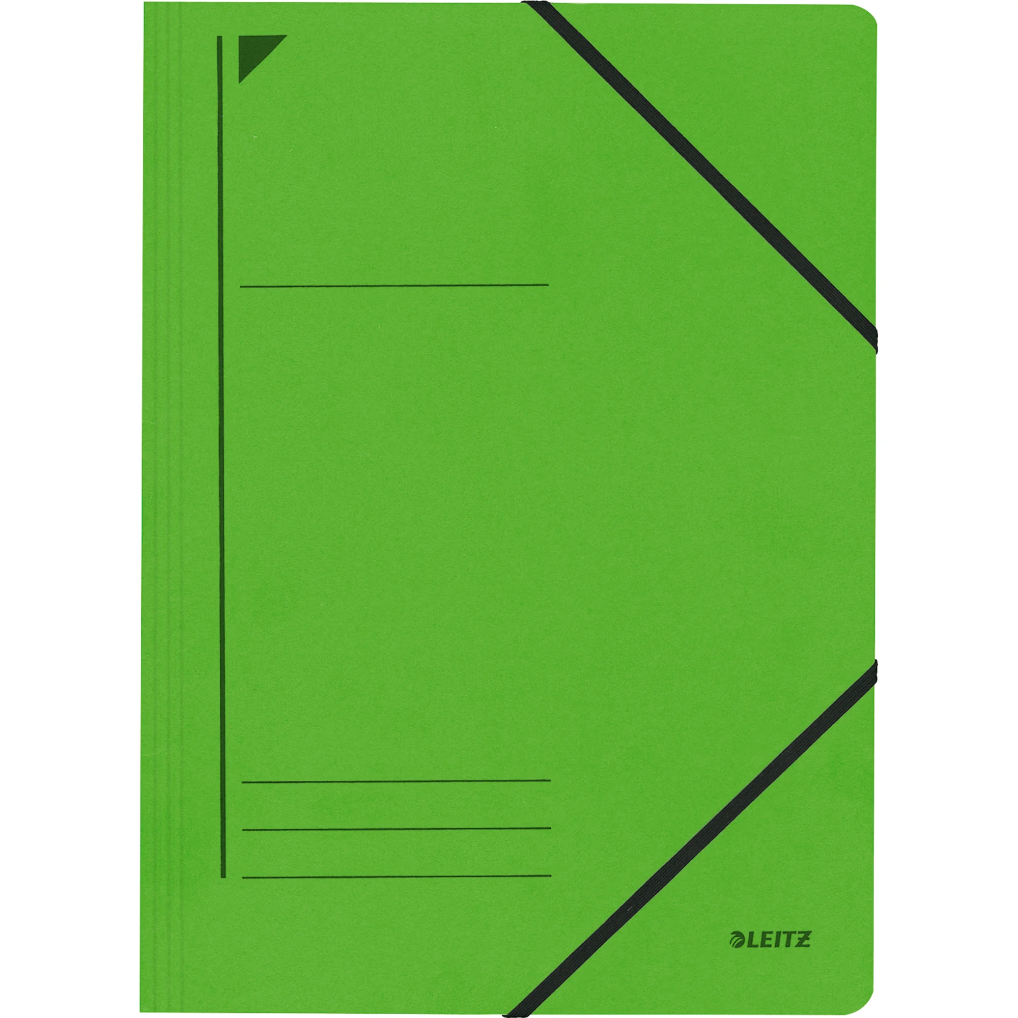 LEITZ Eckspannermappe, DIN A4, Karton 450 g/qm, grün (EAN: 4002432307555)