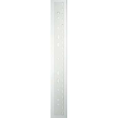 LEITZ Abheftstreifen comBIND DIN A4, 21-Lochung, transparent (EAN: 5411313157834)