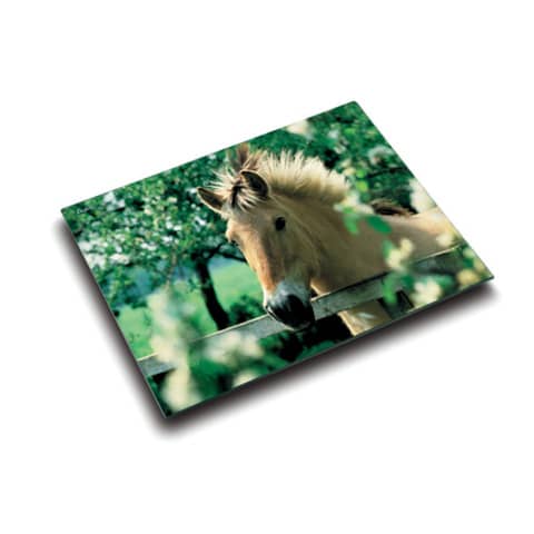 Läufer Schreibunterlage Pferd am Weidezaun, 400 x 530 mm (EAN: 4006677466404)