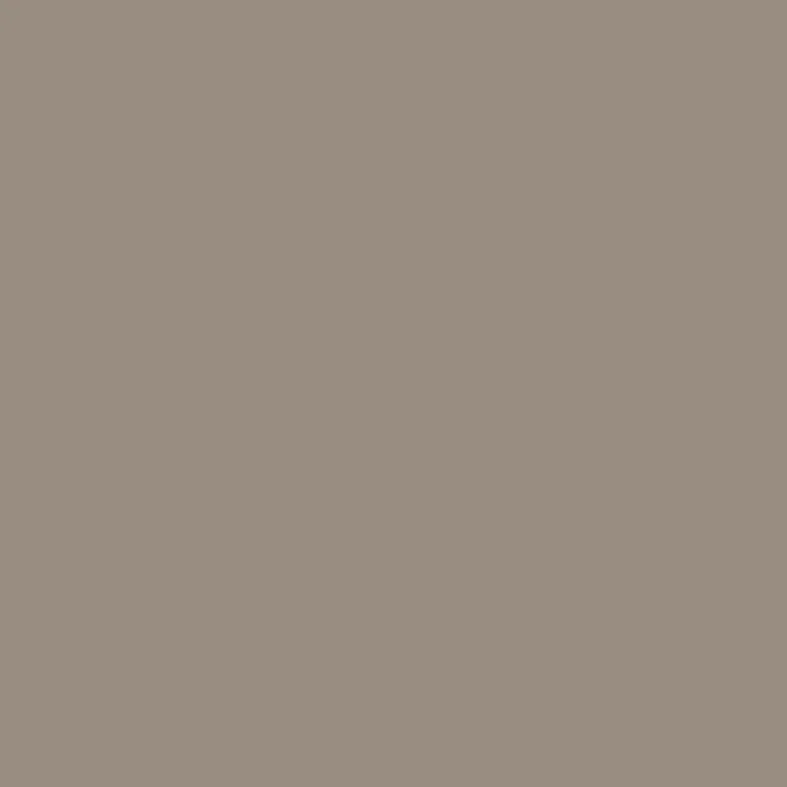folia Tonpapier, DIN A4, 130 g/qm, cappuccino (EAN: 4001868084962)
