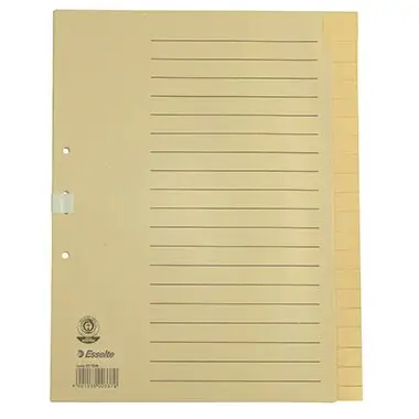 Esselte Tauenpapier-Register, blanko, A4, 20-teilig, grau (EAN: 4001536003370)