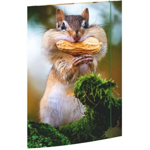 RNK Verlag Zeichnungsmappe "Chipmunk", DIN A3 (EAN: 4002871453752)