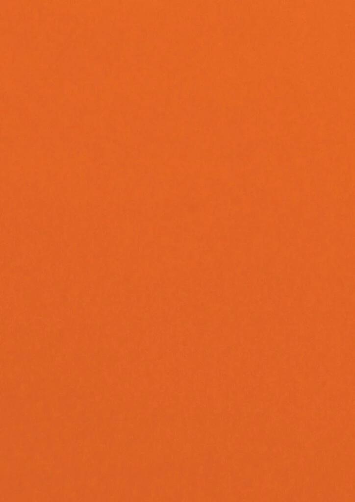 Pollen by Clairefontaine Papier DIN A4, clementine (EAN: 3329680420807)