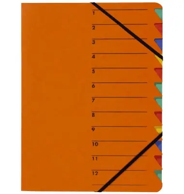 PAGNA Ordnungsmappe "EASY", DIN A4, Karton, 12 Fächer (EAN: 4013951004078)