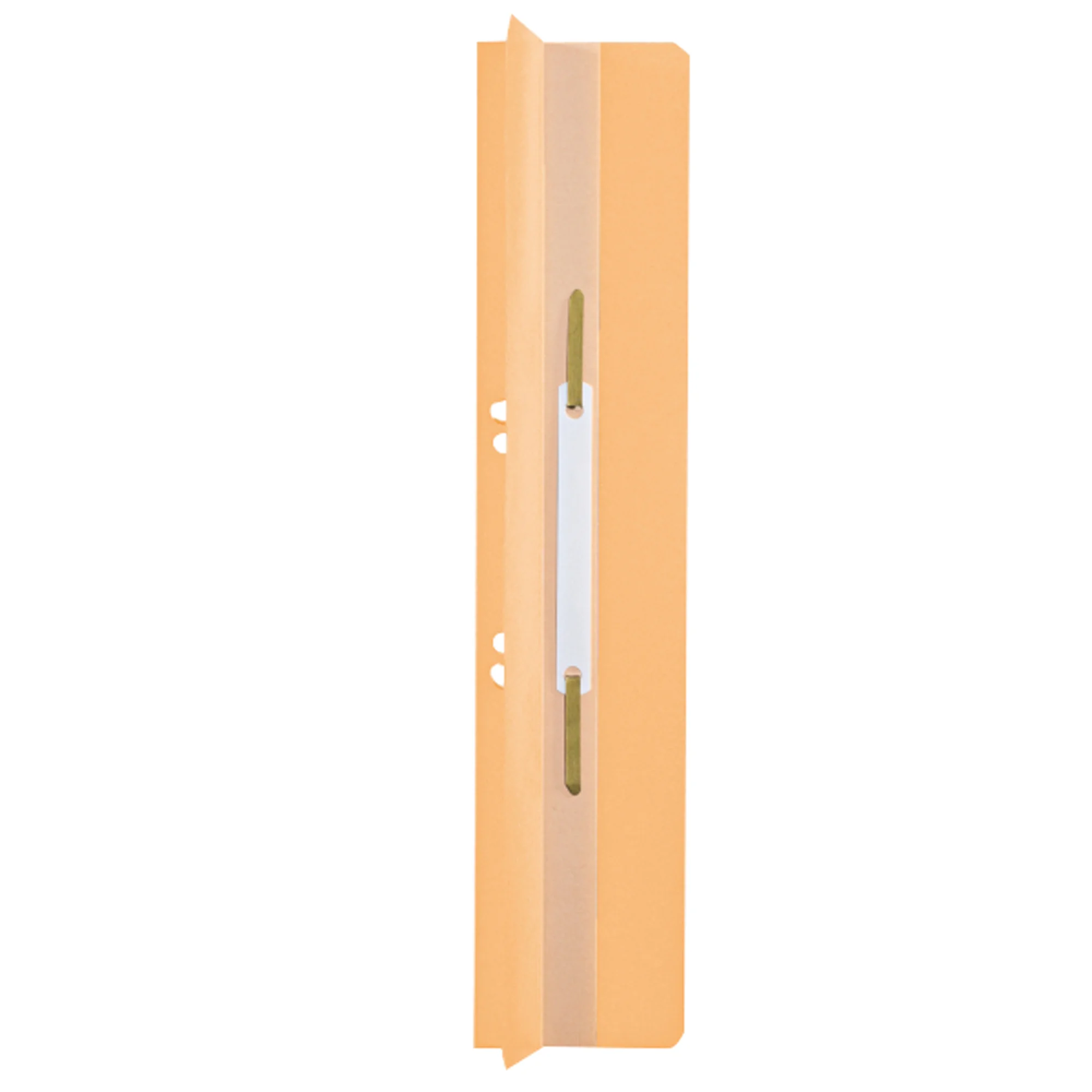 LEITZ Heftrücken, 65 x 305 mm, Manilakarton, chamois, mit (EAN: 4002432306718)
