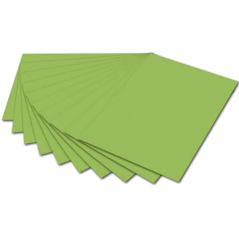 folia Fotokarton, (B)500 x (H)700 mm, 300 g/qm, hellgrün (EAN: 4001868061512)