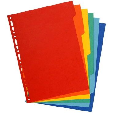 EXACOMPTA Karton-Register, DIN A4, 6-teilig (EAN: 3141870000893)