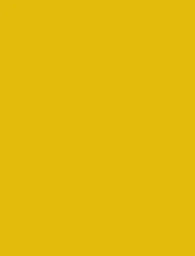 folia Fotokarton, (B)1.000 x (H)700 mm, 300 g/qm, ocker (EAN: 4001868016697)