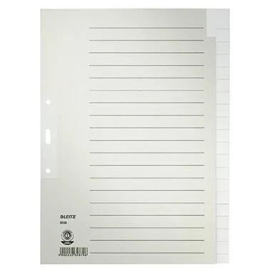 LEITZ Tauenpapier-Register, blanko, A4, 20-teilig, grau (EAN: 4002432328796)