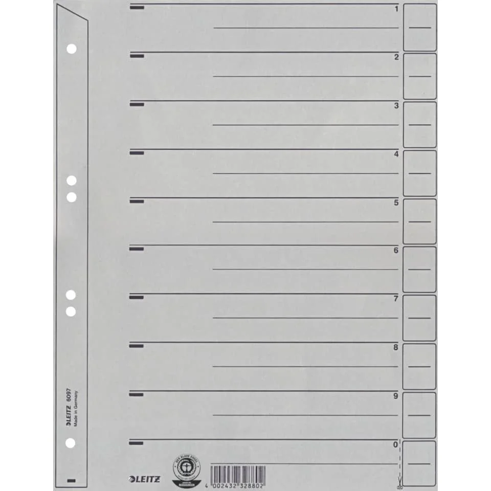 LEITZ Trennblätter, A4, Kraftkarton 200 g/qm, grau (EAN: 4002432328802)