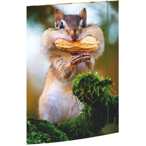 RNK Verlag Zeichnungsmappe "Chipmunk", DIN A3 (EAN: 4002871453752)