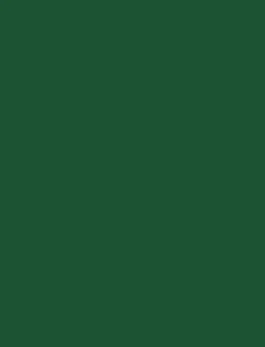 folia Fotokarton, (B)1.000 x (H)700 mm, 300 g/qm, tannengrün (EAN: 4001868681581)