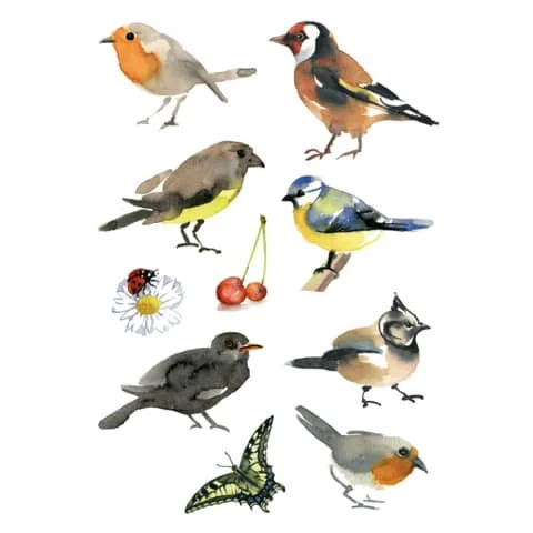 HERMA Sticker DECOR "Aquarell Vögel" (EAN: 4008705033510)