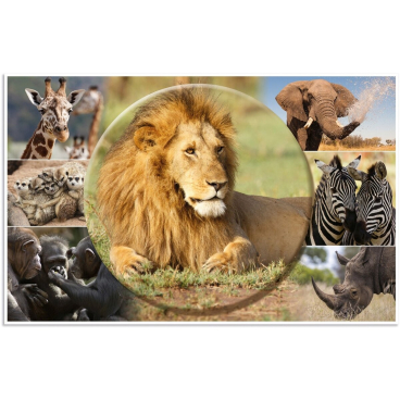 HERMA Schreibunterlage "Afrika Tiere", (B)550 x (H)350 mm (EAN: 4008705196765)