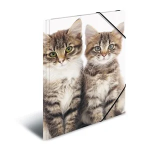 HERMA Eckspannermappe "Katzen", aus PP, DIN A3 (EAN: 4008705071437)