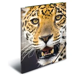 HERMA Eckspannermappe "Leopard", aus PP, DIN A4 (EAN: 4008705071376)