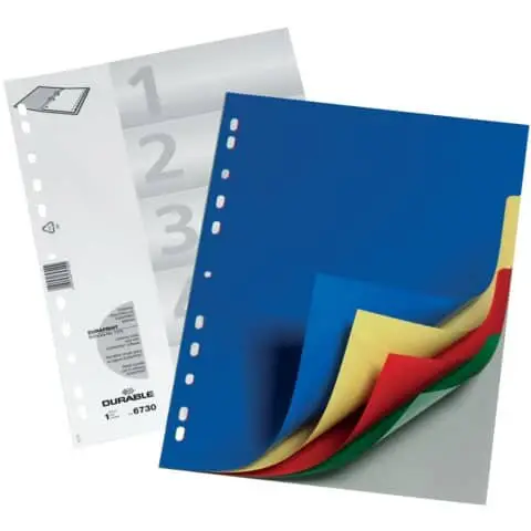 DURABLE Kunststoff-Register, A4, PP, 5-teilig (EAN: 4005546657004)