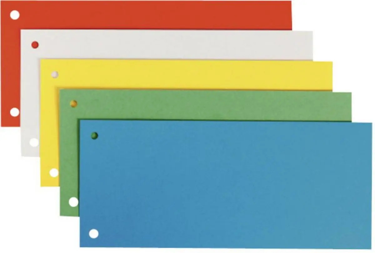 LEITZ Trennstreifen, für DIN A4 Format, sortiert (EAN: 4002432368143)